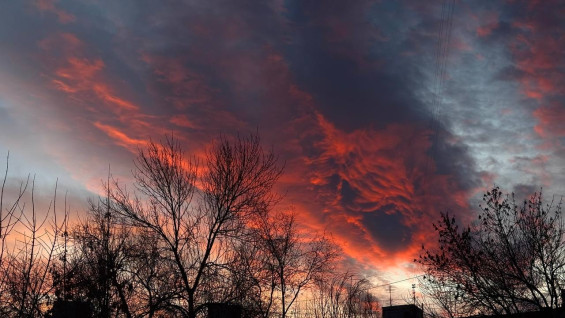 В Самарской области ночью 20 февраля объявили угрозу массовой атаки БПЛА