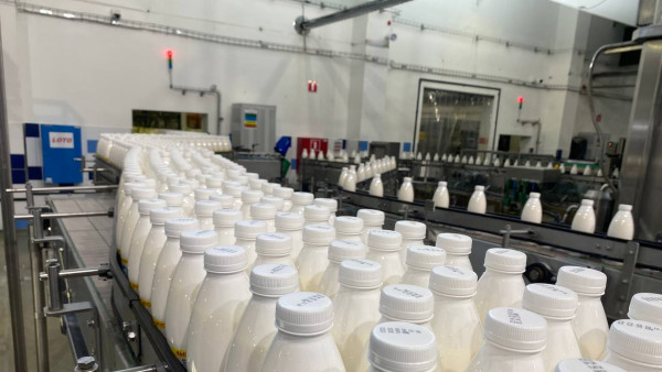 Продажа просроченной «молочки» за год сократилась в 122 раза