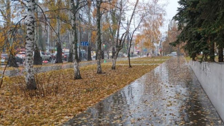 Народные приметы на 6 ноября. Не делайте этого в Светец день, если не хотите лишиться самого дорогого в своей жизни