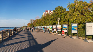 19 июня - Международный день прогулки