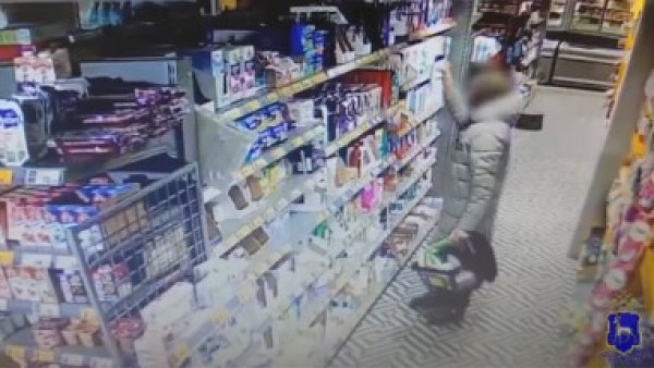 В Самарской области рецидивист наворовал в магазине бытовых товаров на 8 тысяч рублей 