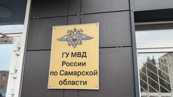 В Самарской области дама обокрала приятеля, пока тот спал