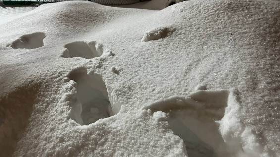 Синоптики рассказали о погоде на Новый год в Самаре