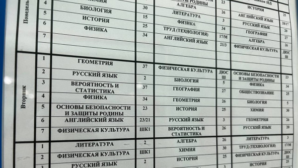 Эстетическое воспитание и этикет могут стать обязательными курсами в школах Самары