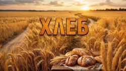 Хлеб