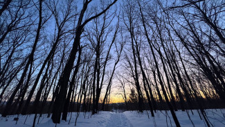 Весна всё ближе: в Самаре заметно увеличился световой день