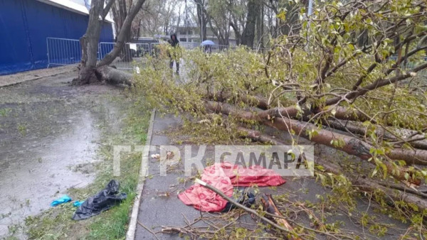 Председатель СК России А. Бастрыкин потребовал доклад после гибели девочки из-за падения дерева в Самаре