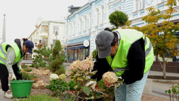 Стало известно, почему на Ленинградской в Самаре срезают гортензии