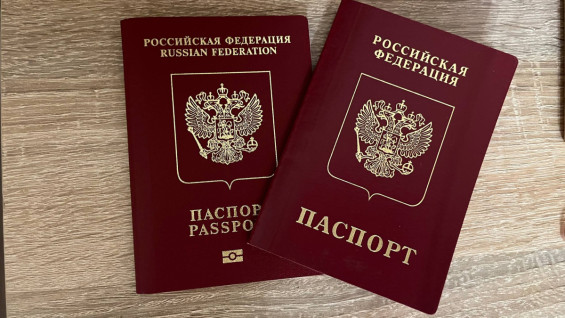 Самарцам назвали страны, в которые не пустят по старому загранпаспорту