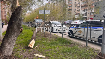 Ребенок погиб под упавшим деревом в Самаре 27 апреля 