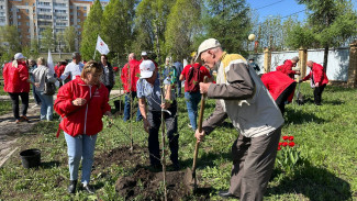 80 яблонь в честь Победы: в Самаре заложили новый сад у госпиталя ветеранов