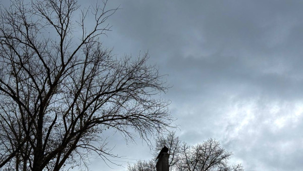 Угрозу атаки БПЛА объявили в Самарской области 17 октября 2025 года