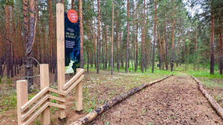 Экотропа «Сказочный борок» начала работать в Самарской области