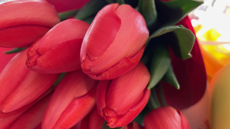 Народные приметы: 15 апреля. Сделайте это обязательно в Барыш день, если не хотите остаться на мели