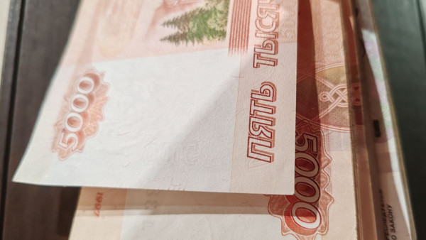 Самарцы смогут вдвое быстрее пустить средства маткапитала в ход 