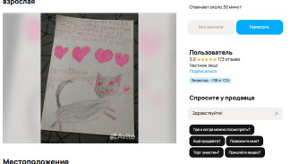 В Самаре кошку шотландской породы хотят продать за 1 млн рублей 