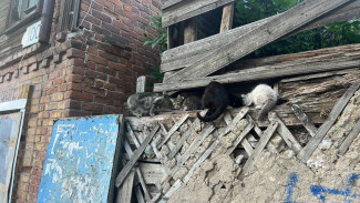 В Самаре непризнанный памятником дом крестьянина Козлова могут снести