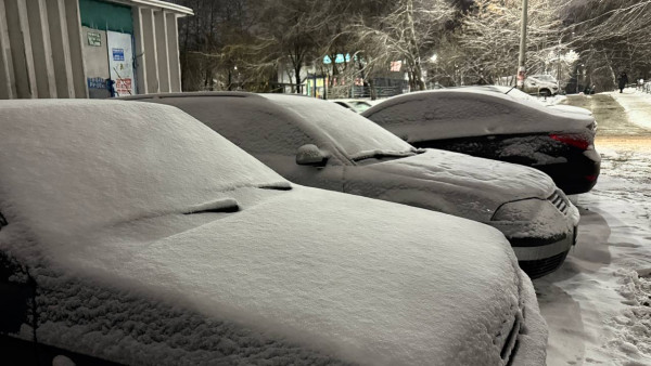 Жители Самары в «ВКонтакте» возмутились передачей парковки на Советской Армии в частную аренду