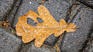 21 октября Самарскую область зальет мощными ливнями