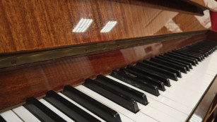 В Самаре в 2026 году на 18 млн закупят рояли, пианино, баяны, аккордеоны