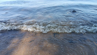 Детский лагерь «Сказка» хотят продать за 50 млн рублей в Самаре