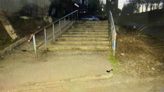 В Самарской области задержан подозреваемый в нанесении тяжких телесных повреждений 