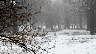 В Самарскую область в середине недели придут сильные морозы 