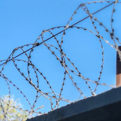 Художницу из Самары отправили в колонию на 20 лет за госизмену