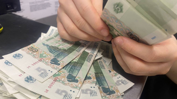 Мошенники придумали новую схему обмана самарцев с "оцифровкой" трудового стажа