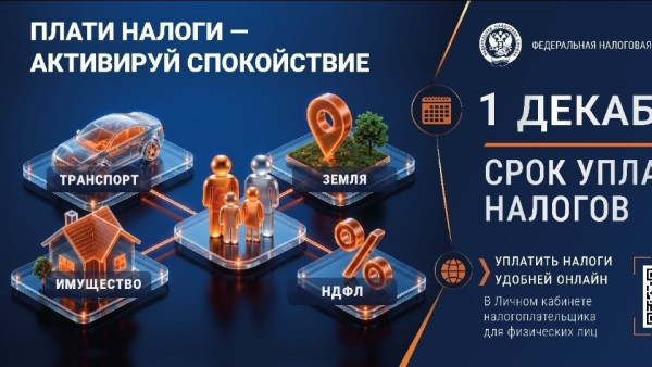 Жителям Самарской области напомнили про наступление сроков уплаты налогов