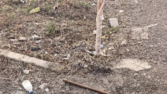 В Самаре коммунальщики достали из канализации на улице Мяги необычный предмет