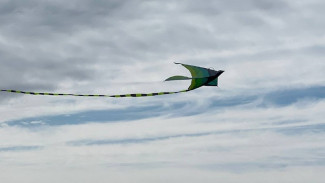 День Лукьяна Ветряка 2024: что можно и чего нельзя делать 16 июня, чтобы не обнищать