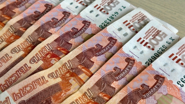 В Самаре самозанятые смогут сами выбрать размер страховой защиты