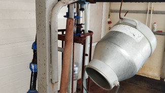 В Куйбышевском районе Самары обнаружен очаг бруцеллеза