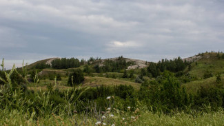 Инвестор хочет расширить проект на Федоровских лугах в Самарской области