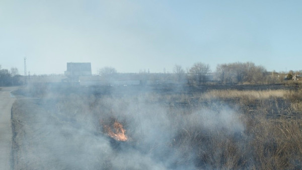 12 возгораний за сутки: в Самарской области начинается сезон природных пожаров 