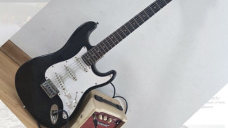 "Рок над Волгой" : стала известна судьба музыкального фестиваля 