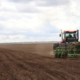 В Самарской области окажут больше поддержки молодым специалистам агропрома  