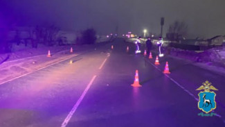 В Самарской области 43-летний мужчина погиб в ДТП