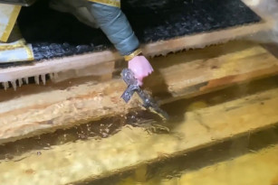 В Самаре состоялись массовые Крещенские купания 2026: фоторепортаж с Полевого спуска