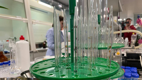 В Самарской области жертвами клещей стало более 3000 человек