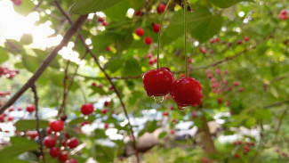 Синоптики рассказали, когда Самарскую область накроют проливные дожди