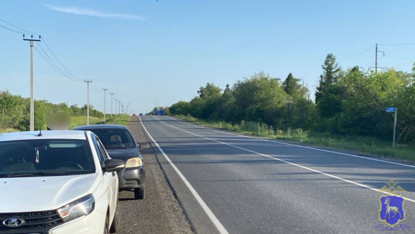 В Самаре полиция ищет водителя, который насмерть сбил пенсионера и скрылся