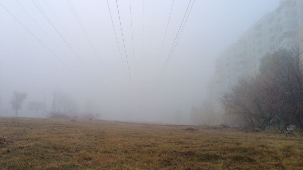 В Самаре зафиксировано двукратное превышение вызывающего астму диоксида азота