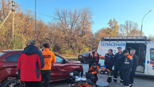 В лесном массиве Тольятти больше суток искали пенсионерку с деменцией