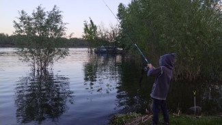 Самарцев предупредили об опасности заражения паразитами от речной рыбы