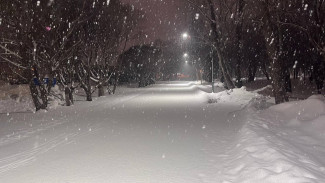 Инспекторы ГИБДД спасли замерзающего жителя Сызрани с ограниченными возможностями здоровья