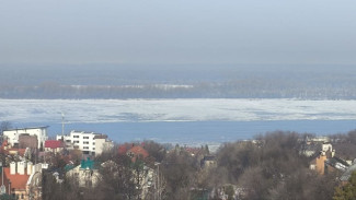В Самаре вскрылась Волга 19 марта