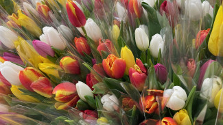 Самарские водительницы в преддверии 8 марта рассказали о совмещении женских черт и таланта управления машиной