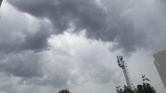 Синоптики рассказали, когда в Самарской области закончатся дожди